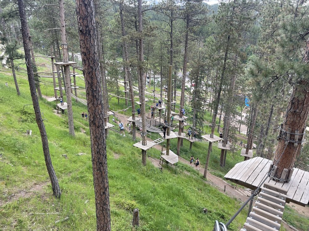 Zip Line & Aerial Adventure Park Logo