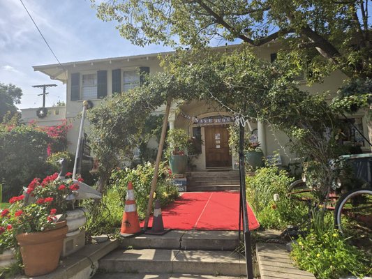 Rose Tree Cottage by null