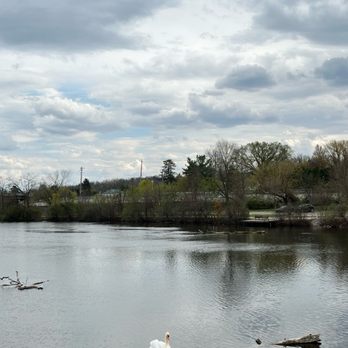 Gallup Park Canoe Livery - Boating Near Me - Ann Arbor, Michigan Gallup Park Canoe Livery - Boating Near Me - Ann Arbor, Michigan