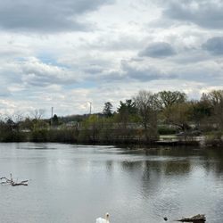 Gallup Park Canoe Livery
