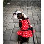 Photo of Dog Walking Dunnets