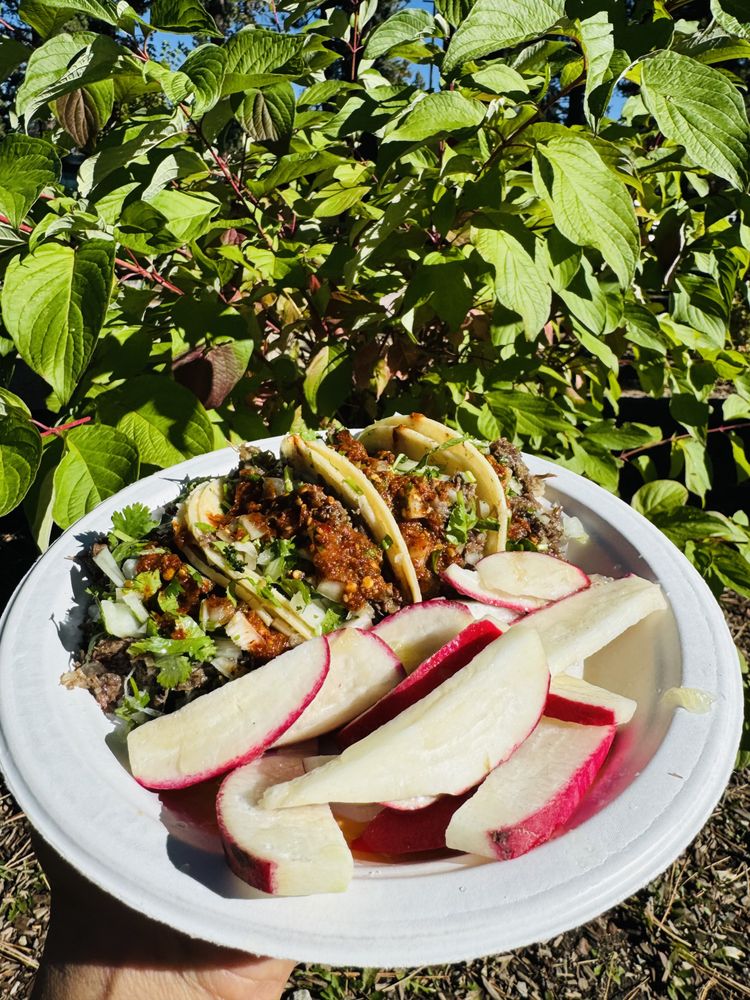 Tacos Herrera Logo