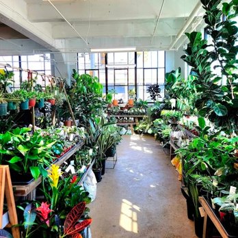 Grounded Plant & Floral - Nurseries & Gardening Near Me - Indianapolis, Indiana