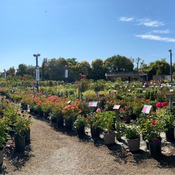 Regan Nursery - Nurseries & Gardening Near Me - Fremont, California Regan Nursery - Nurseries & Gardening Near Me - Fremont, California