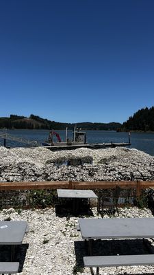 Clausen Oysters by null