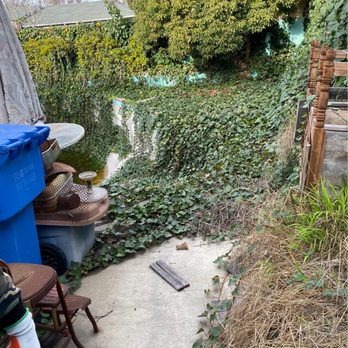 Reliable Landscape Service - Backyard - Landscaping Near Me Reliable Landscape Service - Backyard - Landscaping Near Me