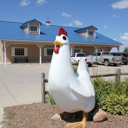 Klunder's Kafe - You can't miss the chicken when you drive up.