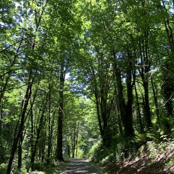 Des Moines Creek Trail - Parks Near Me - Des Moines, Washington Des Moines Creek Trail - Parks Near Me - Des Moines, Washington