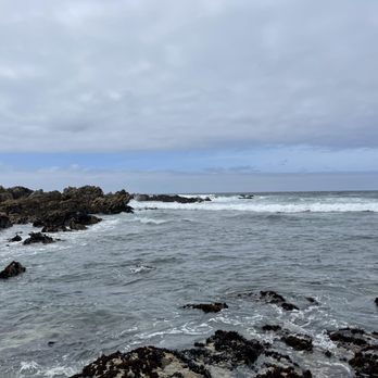 Asilomar State Beach - Parks Near Me - Pacific Grove, California