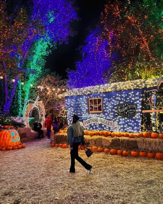 Jack's Pumpkin Pop-up by null
