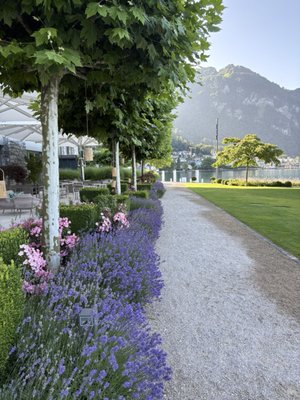 Park Hotel Vitznau by null
