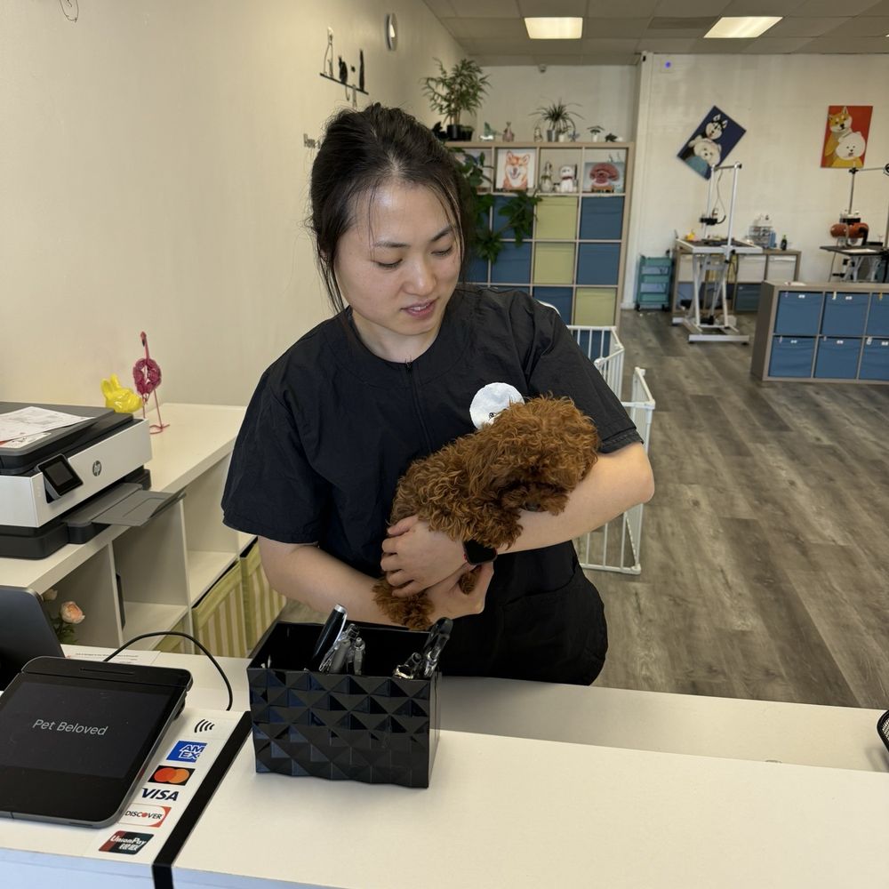 Pet Beloved - Pet Groomers Near Me - San Diego, California Pet Beloved - Pet Groomers Near Me - San Diego, California