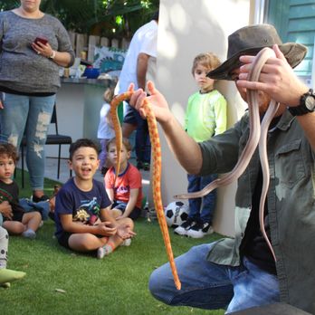 Shadows Reptiles - Pet Breeders Near Me Shadows Reptiles - Pet Breeders Near Me