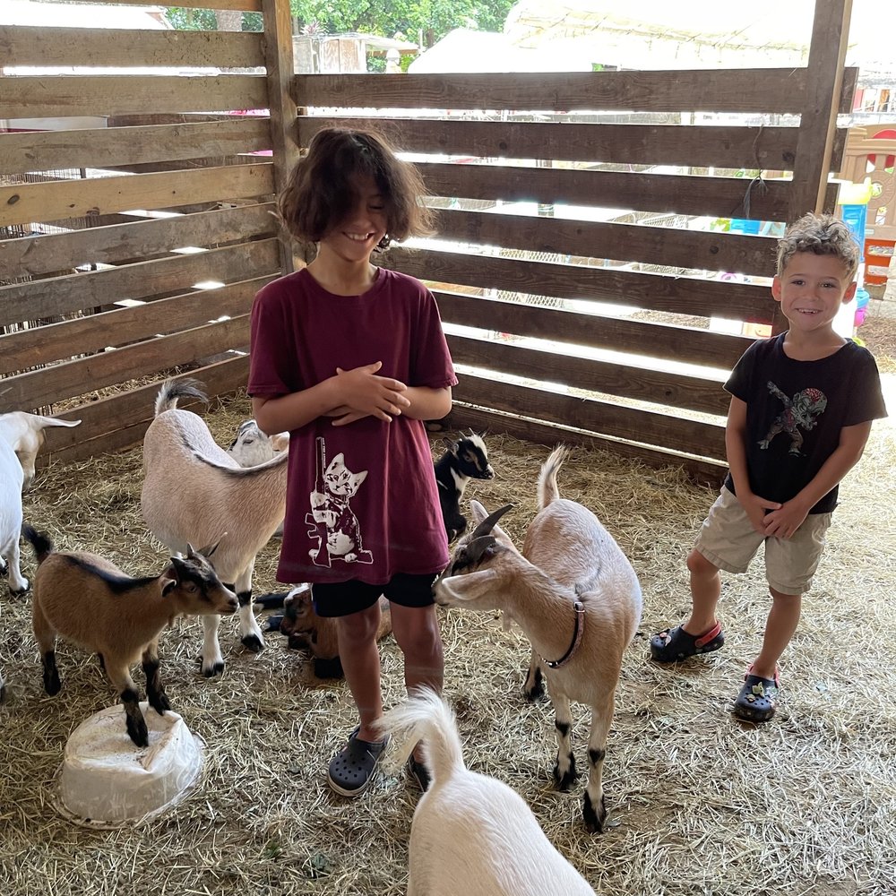 Happi Farm - Community Service/Non-Profit Near Me - Davie, Florida Happi Farm - Community Service/Non-Profit Near Me - Davie, Florida