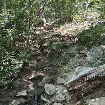 Paris Mountain State Park - Lakes Near Me - Greenville, South Carolina Paris Mountain State Park - Lakes Near Me - Greenville, South Carolina