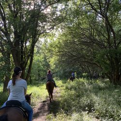 Millbrook Trail Rides
