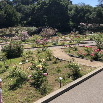 Morcom Municipal Rose Garden - Parks Near Me - Oakland, California