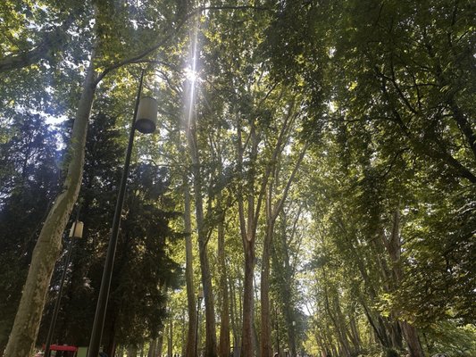 Parc de la Tête d'Or by null