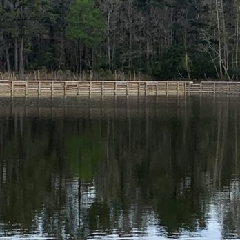 Ashley River Park - Dog Parks Near Me - Summerville, South Carolina