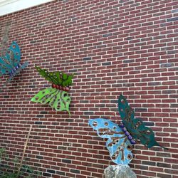 The Smithtown Library - Flutter your way into the Smithtown Public Library