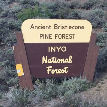 Ancient Bristlecone Pine Forest - Parks Near Me - Bishop, California Ancient Bristlecone Pine Forest - Parks Near Me - Bishop, California