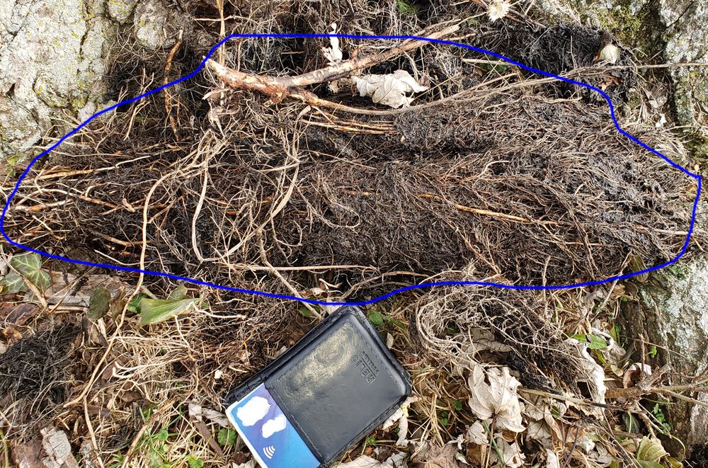 Slide of Dayton Sewer & Drain