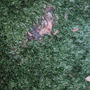 Memorial Green Turf - 2 months already holes - Artificial Turf Near Me - Houston, Texas