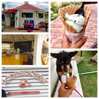 Scoops & Brew - Coffee & Tea Near Me - Saint Thomas, Virgin Islands