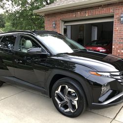 Diamond Detail & Tint - Window tinting