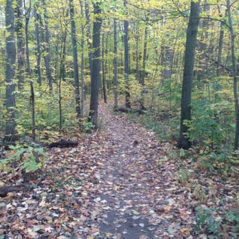 Maybury State Park - Trail from beginning of trail 6 - Parks Near Me - Northville, Michigan