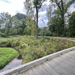 Turkey Foot Nature Park - Path