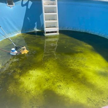 Crespo Pressure Washing - Pressure Washers Near Me Crespo Pressure Washing - Pressure Washers Near Me