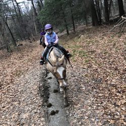 Lee's Riding Stable