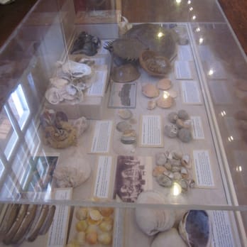 Castle Clinton - Area sea life under glass in the "museum". - Landmarks & Historical Buildings Near Me Castle Clinton - Area sea life under glass in the "museum". - Landmarks & Historical Buildings Near Me