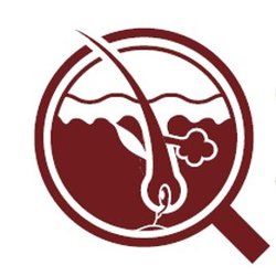 Hair Loss Consultants - HLC Logo. Copyright 2023. All rights reserved.