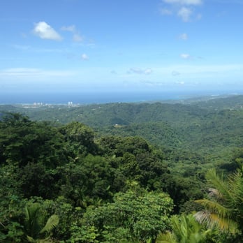 El Yunque Rainforest - lovely view - Hiking Near Me - Luquillo, Puerto Rico