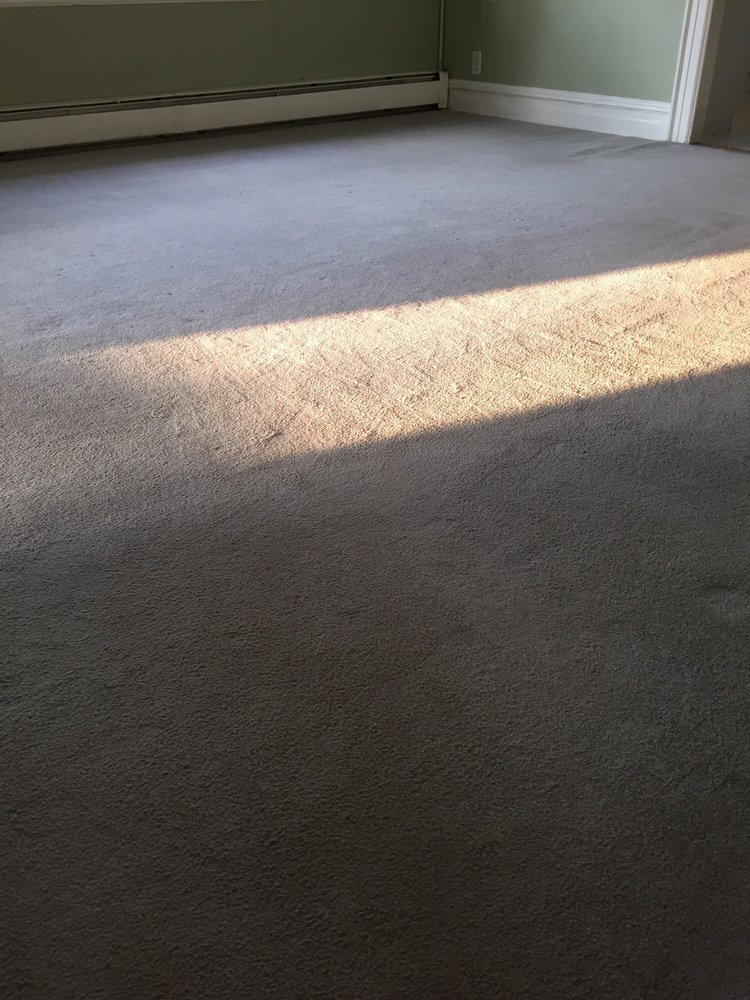 OXI FRESH CARPET CLEANING Updated September 2024 11 Reviews