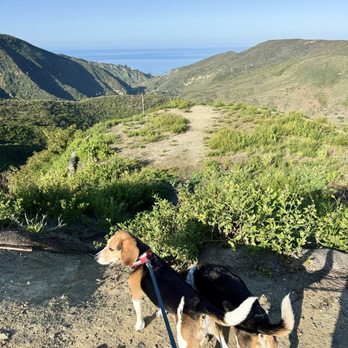 Aliso Summit Trail - Hiking Near Me - Laguna Niguel, California