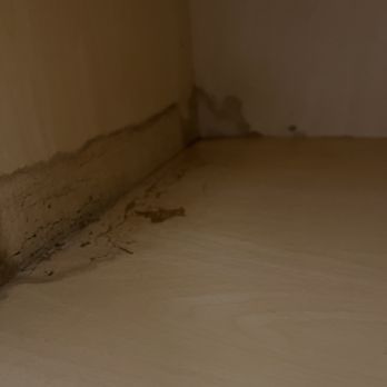 Breathe Easy - Water staining with suspected microbial growth. - Damage Restoration Near Me