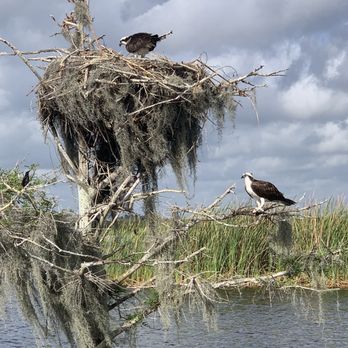 Stumpknocker Tours - Boating Near Me - Fellsmere, Florida