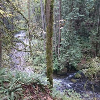 Whatcom Falls Park - Dog Parks Near Me - Bellingham, Washington