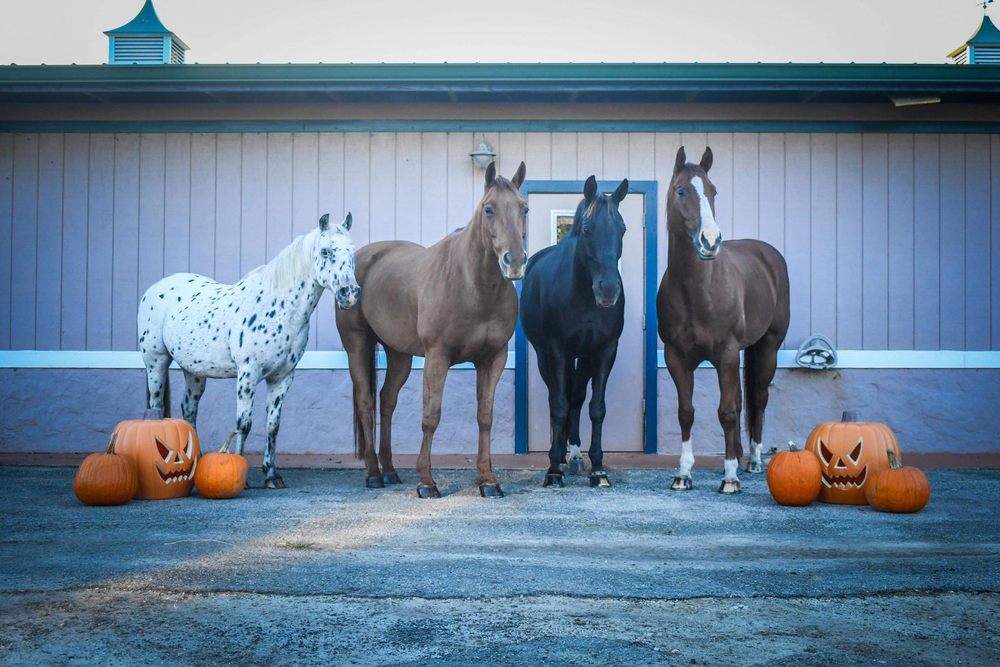 KB ROCKIN RANCH Updated June 2024 Request Information 13 Photos