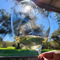 drinking sunshine and chardonnay