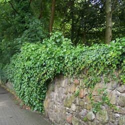 Garten der Justiz
