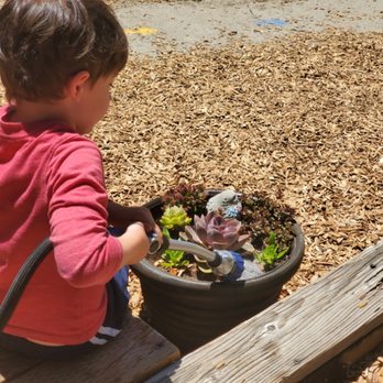 Children's Montessori Adventure - Preschools Near Me - San Leandro, California Children's Montessori Adventure - Preschools Near Me - San Leandro, California