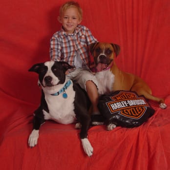 TLC Pet Salon - Pet Groomers Near Me - Apopka, Florida