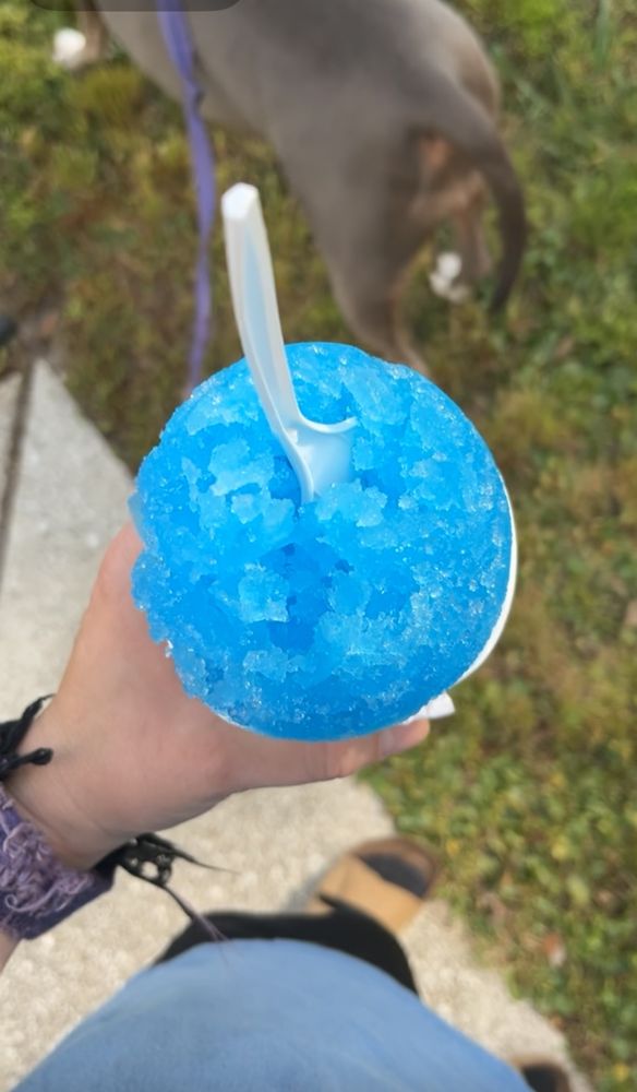 Kona Ice of Georgetown Logo