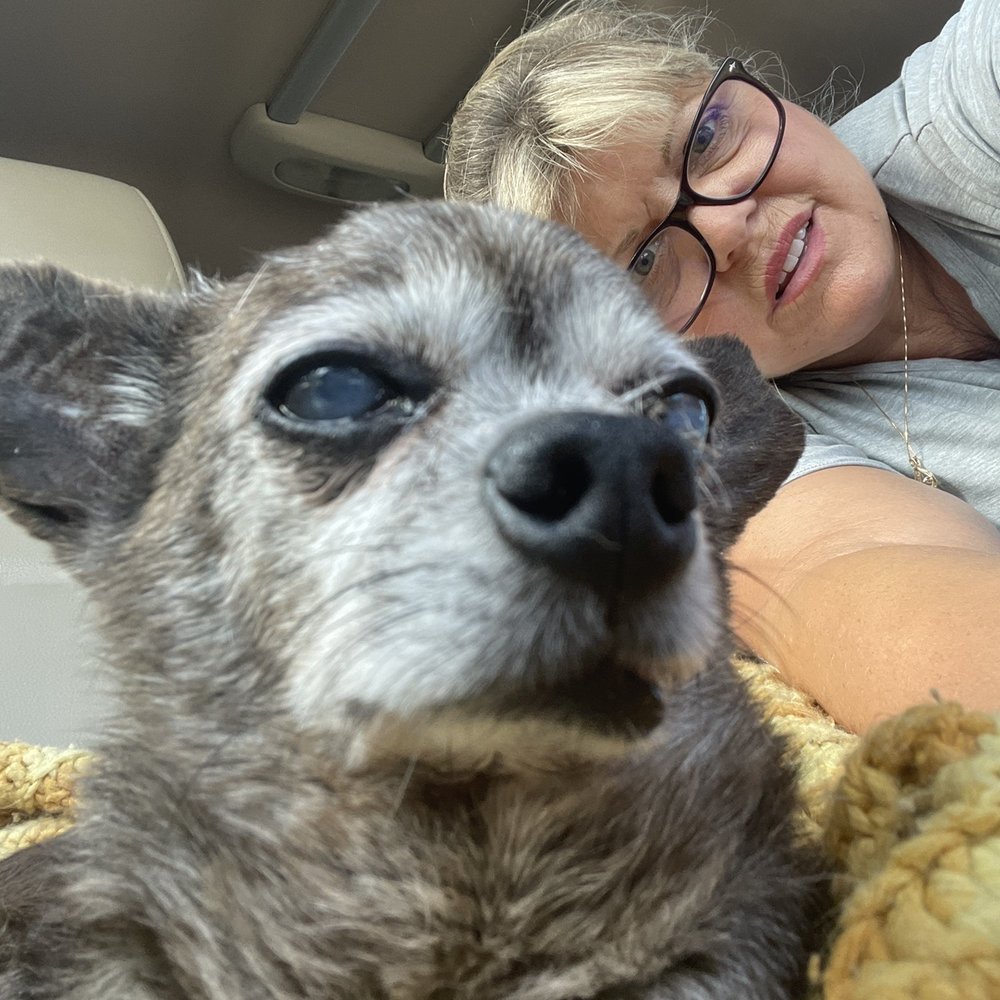 Gully Animal Hospital - Spike was a great dog - Veterinarians Near Me - Midlothian, Texas