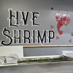 Salty  Hook Bait and Tackle