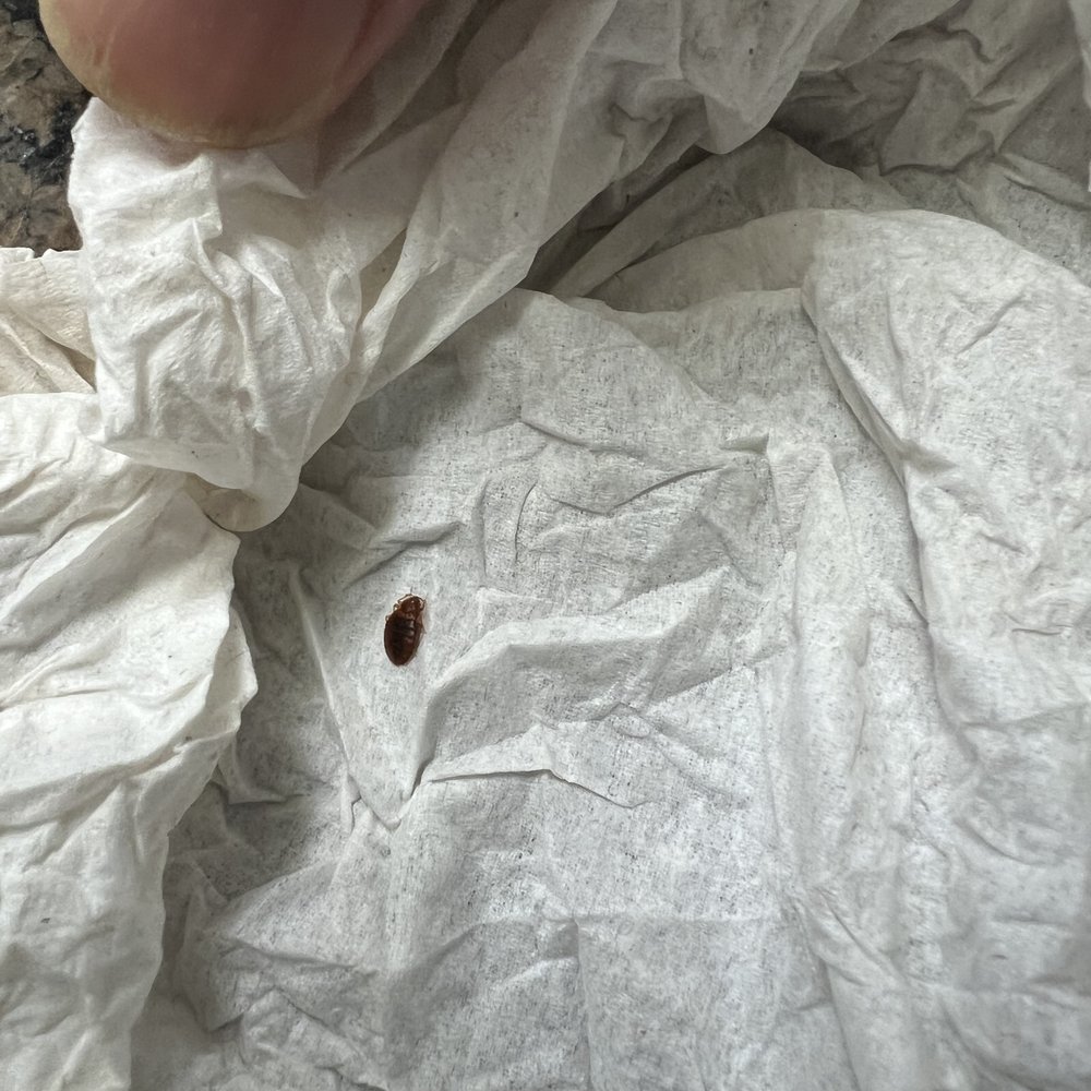 Hampton Inn & Suites Phoenix/Gilbert - Bed bug - Hotels Near Me - Gilbert, Arizona